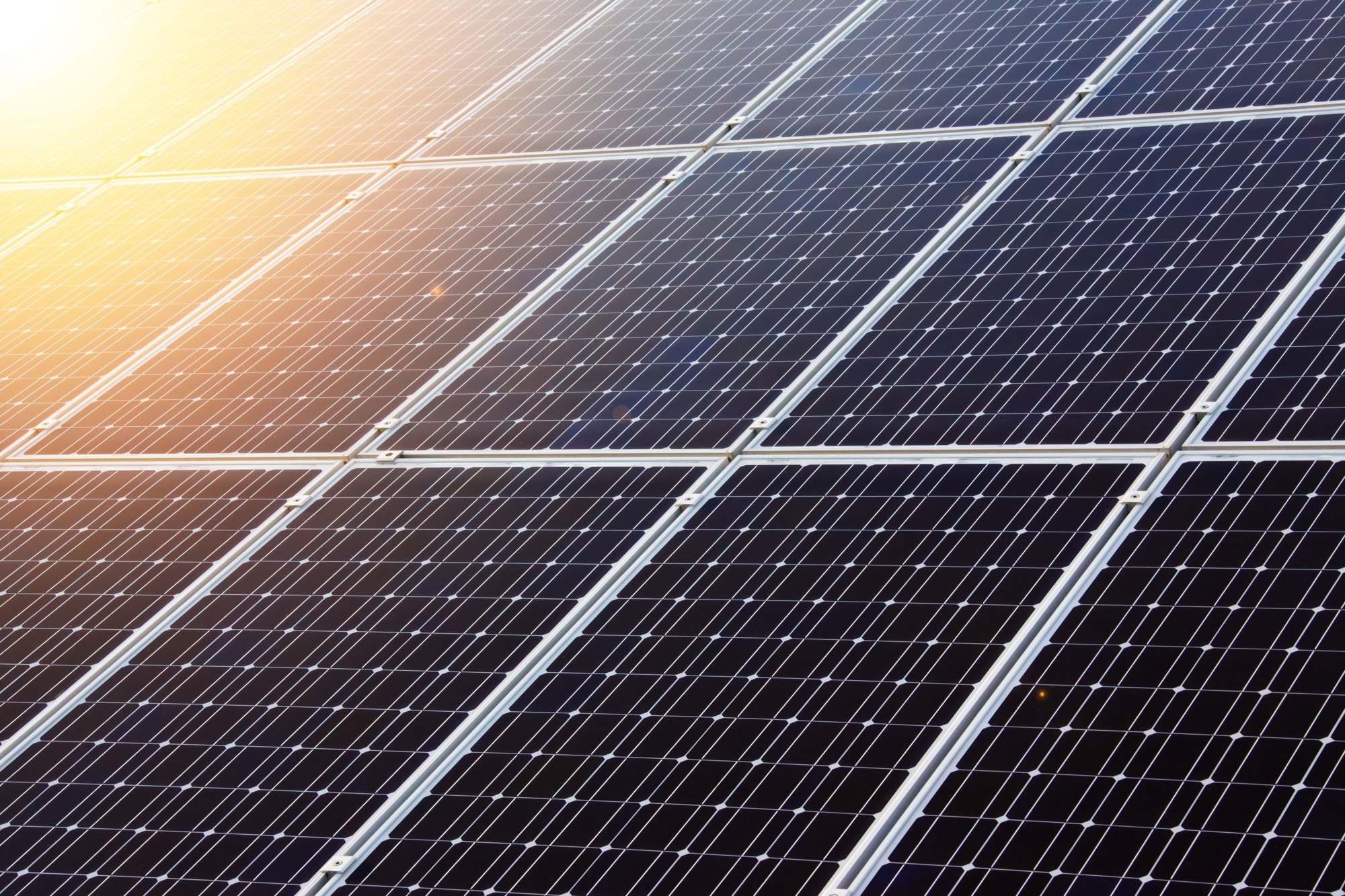 Sunlight across a solar panel array